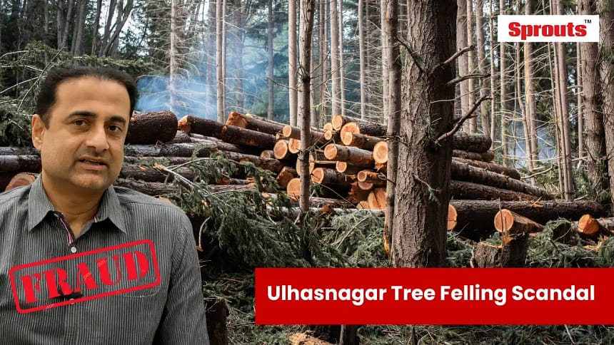 Ulhasnagar Tree Felling Scandal Exposes UMC Corruption